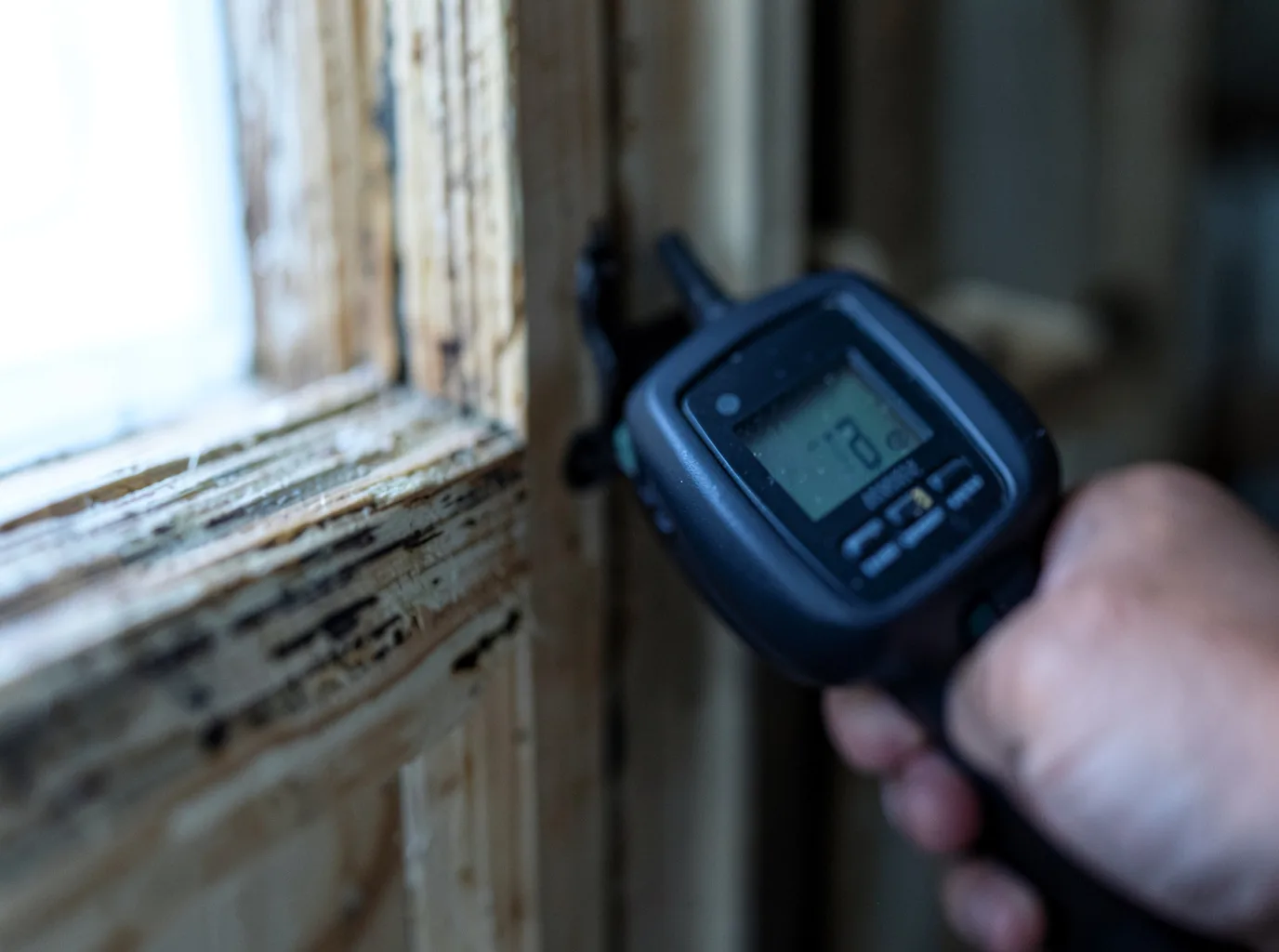 Water Damage Restoration Rainier, WA FAQs